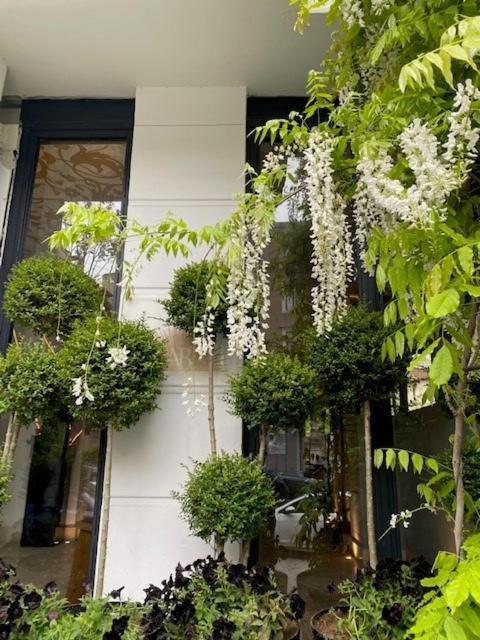 Ab Residences -Cihangir Luxury Antique Apartment Istanbul Luaran gambar